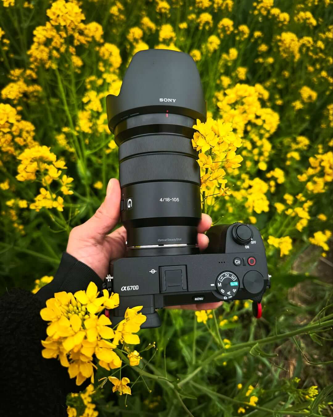 Foto de perfil de Juanjo Nakahodo